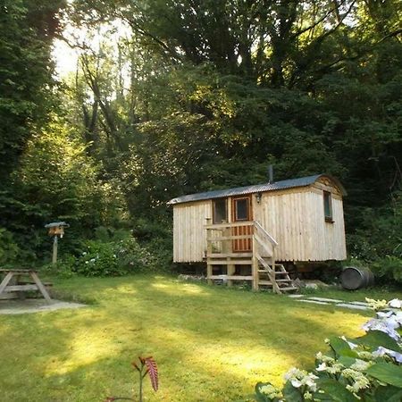 'Morris' The Shepherd'S Hut With Woodland Hot Tub Carmarthen Exterior foto