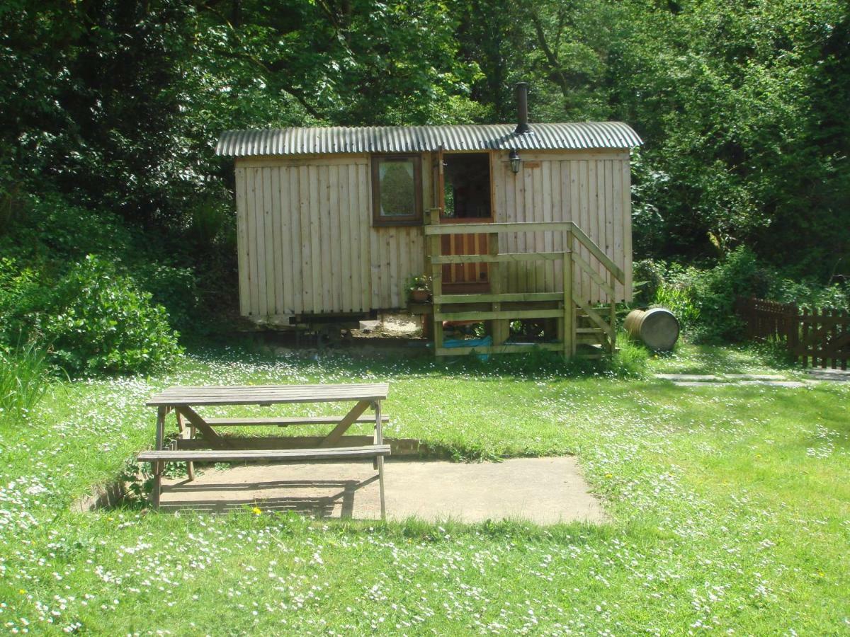 'Morris' The Shepherd'S Hut With Woodland Hot Tub Carmarthen Exterior foto