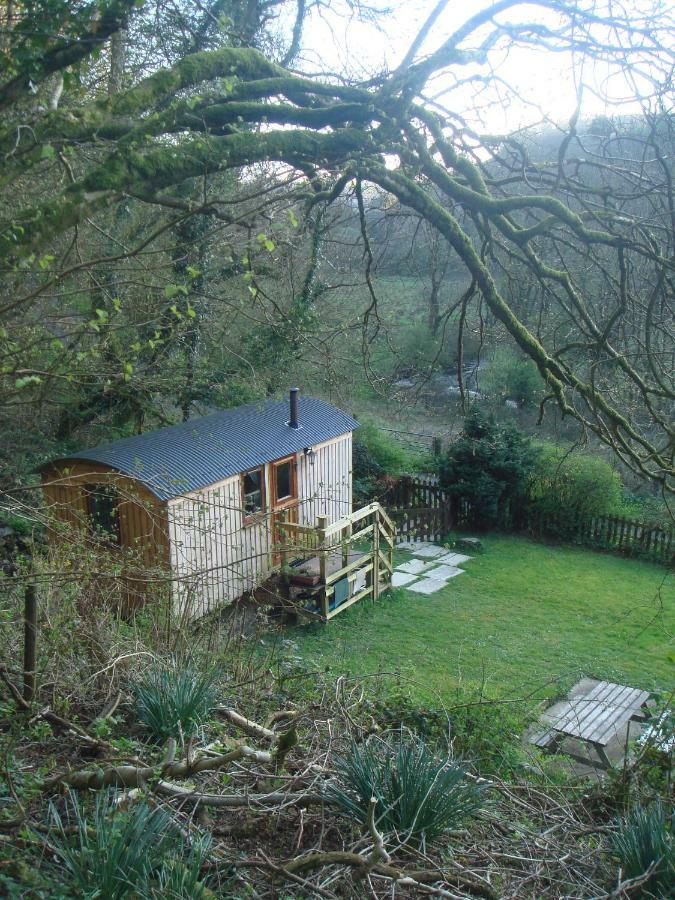 'Morris' The Shepherd'S Hut With Woodland Hot Tub Carmarthen Exterior foto