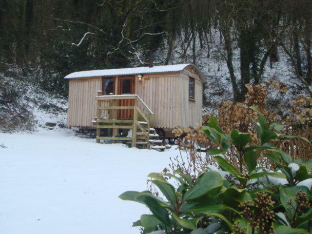 'Morris' The Shepherd'S Hut With Woodland Hot Tub Carmarthen Exterior foto