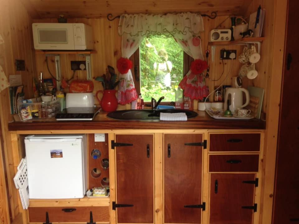 'Morris' The Shepherd'S Hut With Woodland Hot Tub Carmarthen Exterior foto